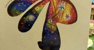 Khoảng trống hình thỏ (John Dougherty – Thomas Docherty, Cua dịch, Thụy Anh hiệu đính, San Hô books & NXB Văn học, 2025)