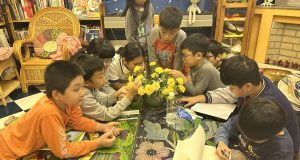 Ngắm hoa hồng, ngắm niềm vui